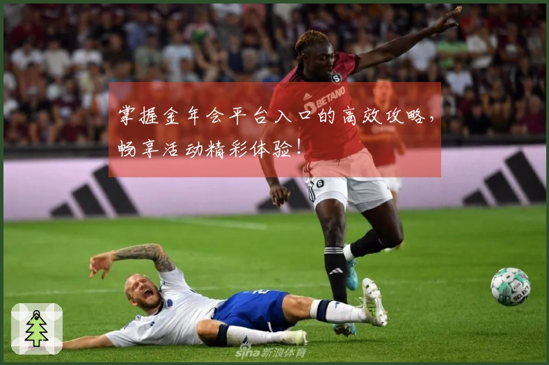 掌握金年会平台入口的高效攻略，畅享活动精彩体验！