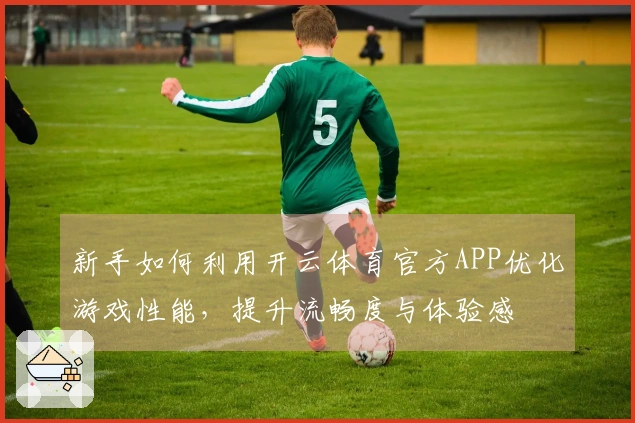 新手如何利用开云体育官方APP优化游戏性能，提升流畅度与体验感