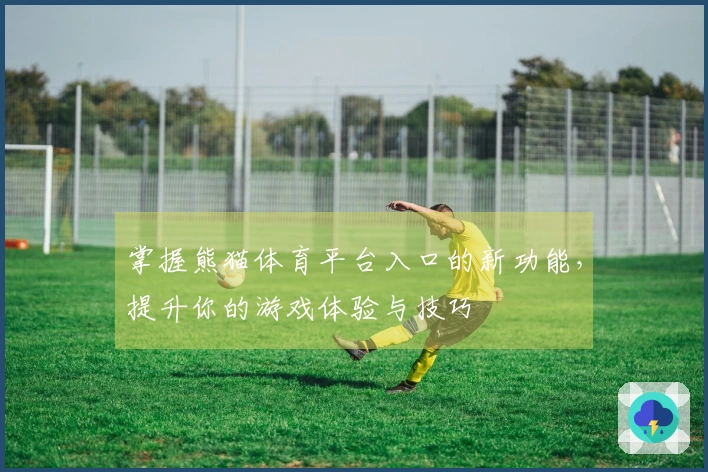 掌握熊猫体育平台入口的新功能，提升你的游戏体验与技巧
