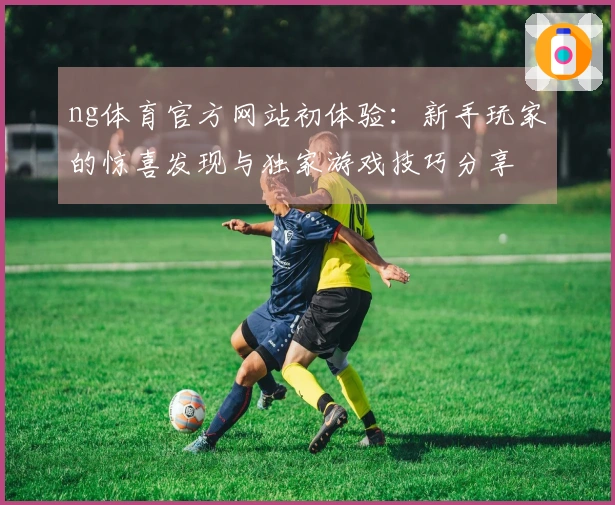ng体育官方网站初体验：新手玩家的惊喜发现与独家游戏技巧分享