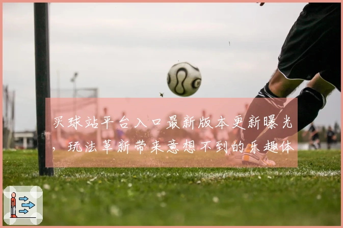 买球站平台入口最新版本更新曝光，玩法革新带来意想不到的乐趣体验